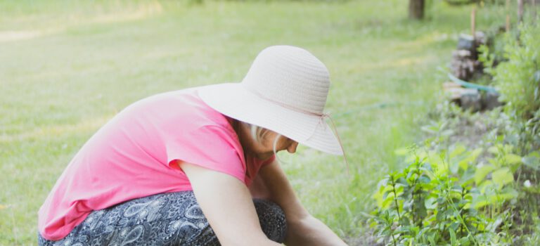 dame onkruid verwijderen in de tuin